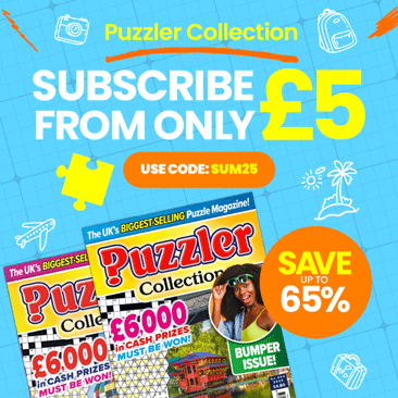 Puzzler Collection
